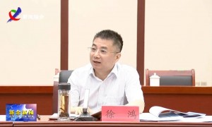 突然辞去市长职务的徐鸿,已被处分