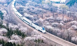一座城市18个高铁站,真为地方财政捏一把汗