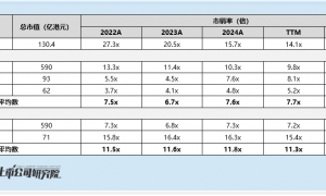 聚水潭启动全球发售:2024年盈利后2025年上半年再转亏 老股东高盛上市前浮盈50%离场 发行估值远超可比公司