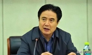 下半年“首虎”公布:正部级罗保铭主动投案