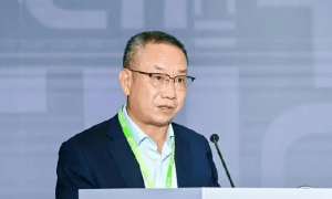 证券反腐!陈小澎、董国群被查