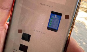 探访奥运冠军谢瑜家乡:外公照常种地养猪,母亲带病异地务工,附近景区发出代言邀请